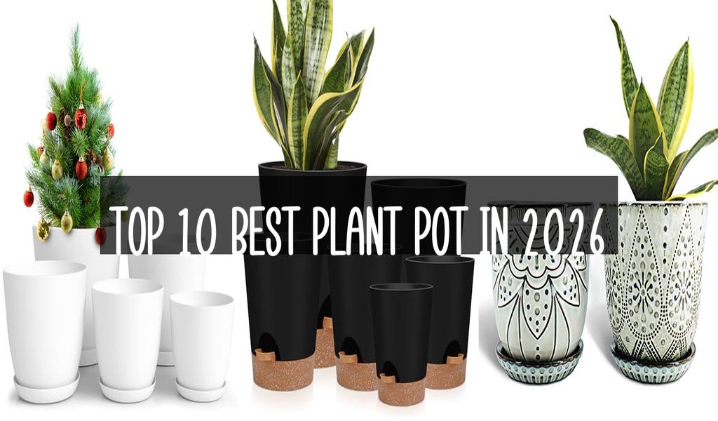 Top 10 Best Plant Pot in 2026